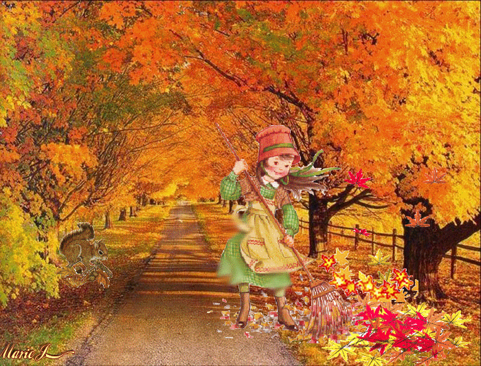 Ramassage-feuille-18-9-16.gif